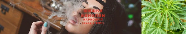 эйфоретик Лабытнанги
