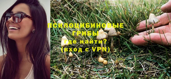 эйфоретик Лабытнанги