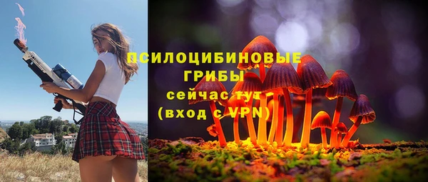 соль ск Лагань